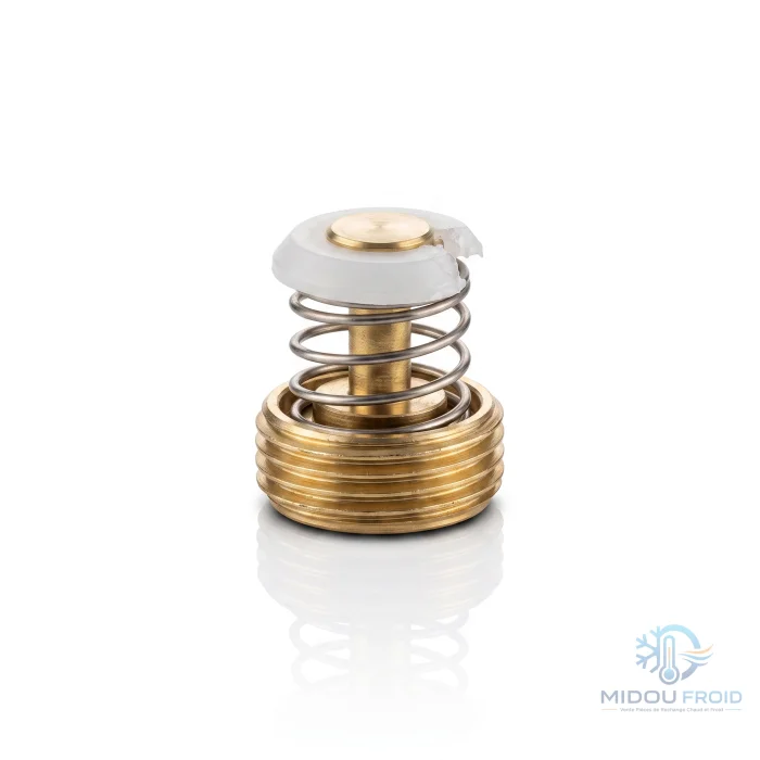 REGULATEUR CHF- BAIN PILE 5L — 1